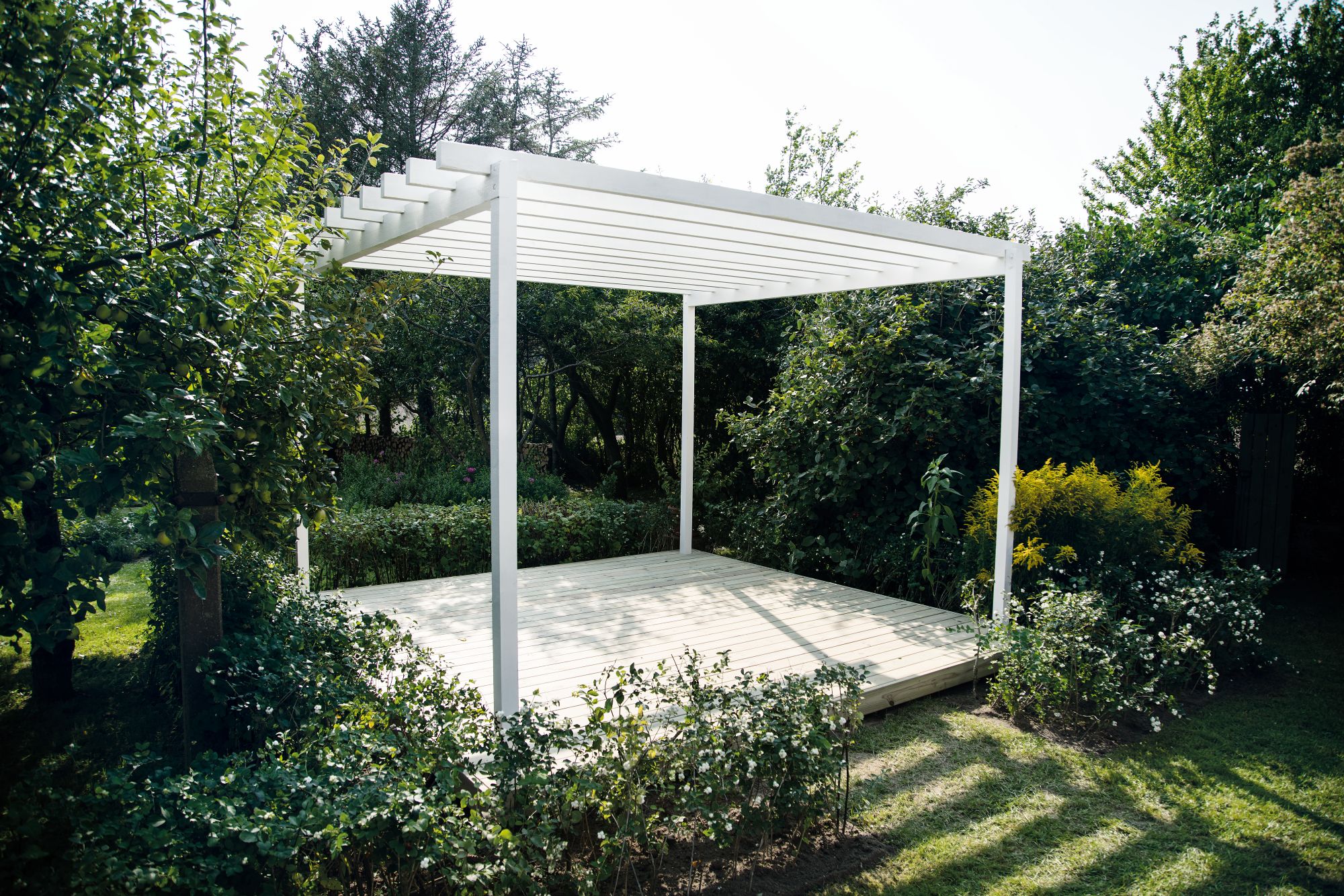 pergola-20251023-085943.jpg