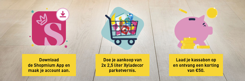 2505119_AN_Xyladecor_cashback_shopmium_1000x330px_NL.jpg