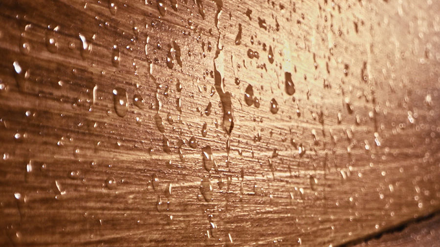 XY-water-repellent-900x500.jpg